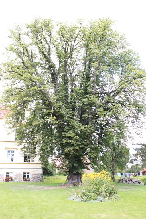 Schloss Lelkendorf - Fewo Parkblick Exterior foto